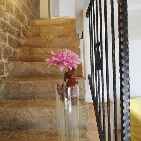 فيلة Lory Sveti Lovreč Pazenatički