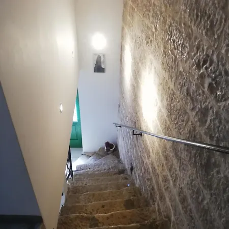 Lory Святой Ловреч Пазенатички