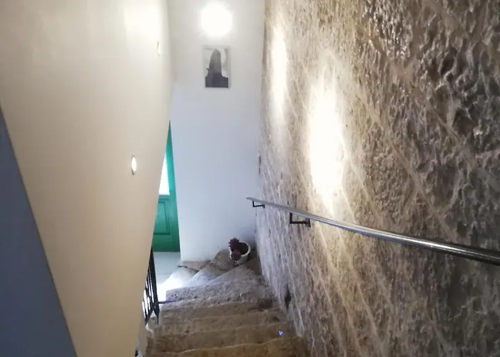 Lory Sveti Lovreč Pazenatički