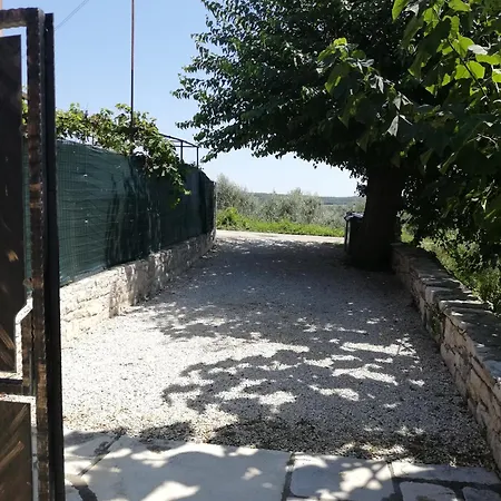 Lory Sveti Lovrec Pazenaticki